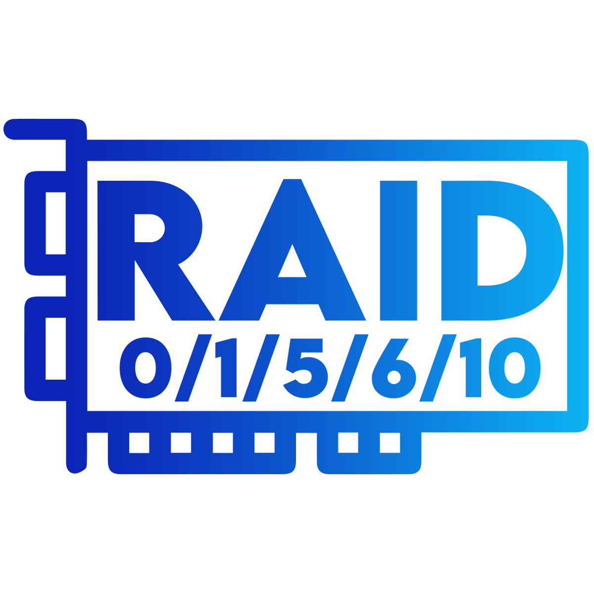 0/1/5/6/10 RAID Kart Desteği